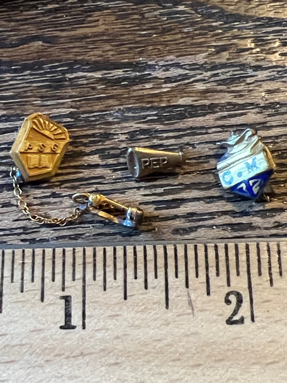 Lot 1930s Gold Filled Junior High Pep PSG and more pins